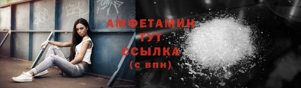 прущие грибы Хотьково